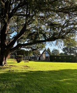 28th – 29th Aug 2026: Canate Deo, 24 hours of singing, prayer and lectio divina, led by Piers Maxim