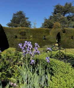 27th Feb 2026: Quiet Day – led by Chris Whittington