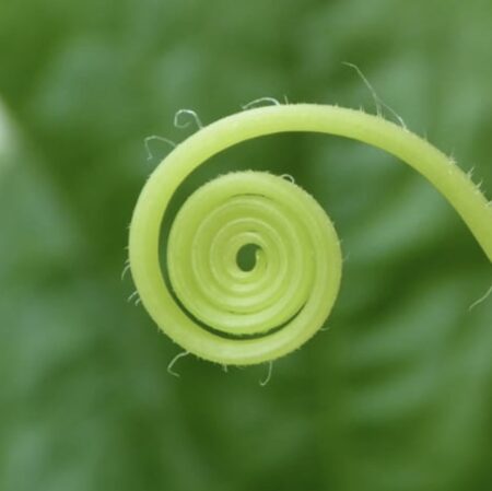 23rd - 25th Oct 2026: Losing and Finding - A therapeutic retreat